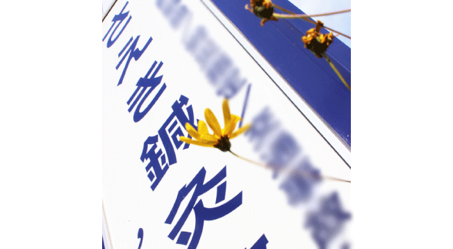 さえき鍼灸整骨院