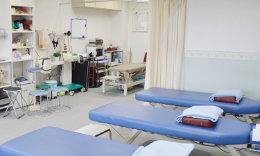 ツカマエ整骨院 鍼灸院の代表的な写真