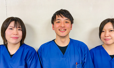 Ｆ．Ｃ．Ｃ．ひまわり整骨院　仙台院【鍼灸】の代表的な写真