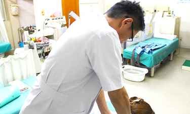 北尾鍼灸整骨院の代表的な写真