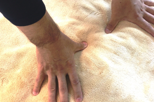 なごみカイロプラクティックの整体の施術画像