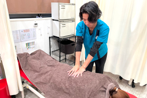 ココロカラダメディカル整体院 上前津駅前院の整体の施術風景画像です。