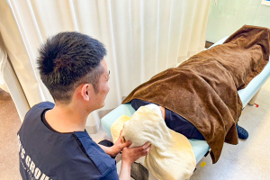 静岡さわやか接骨院静岡市駿河区石田院の整体施術の画像