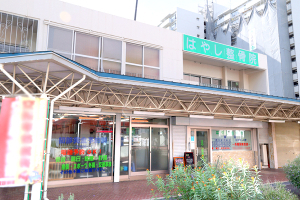 はやし整骨院・鍼灸院　堺市院の外観画像