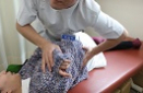 もりわき鍼灸整骨院　上新庄院施術工程step3
