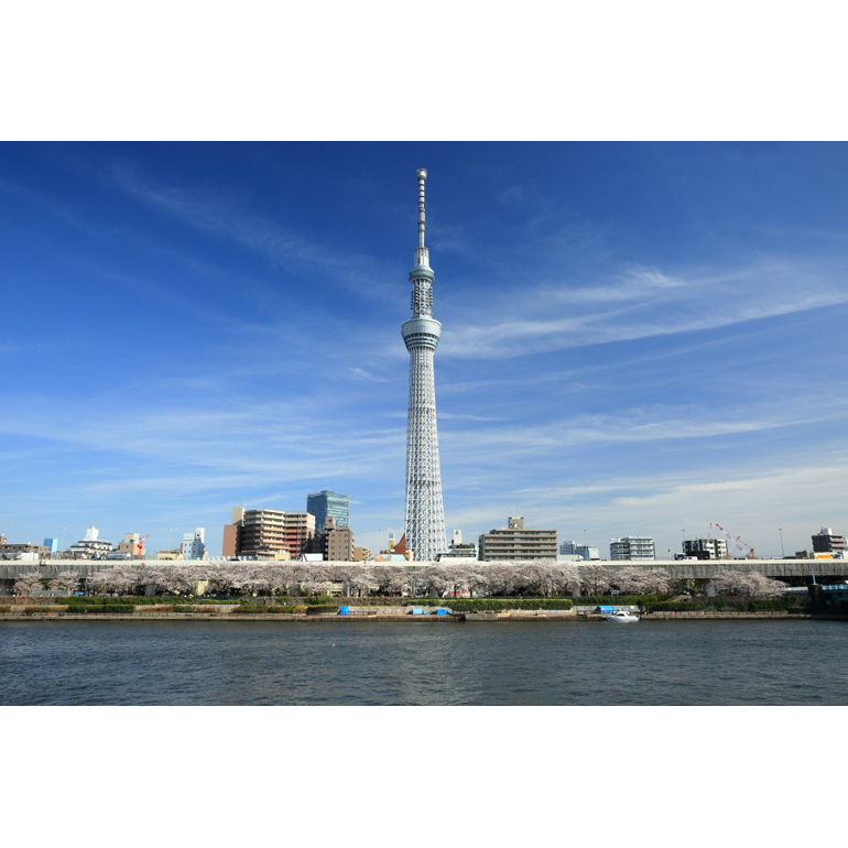スパイナルケア浅草カイロプラクティックセンター(スカイツリーと隅田川)