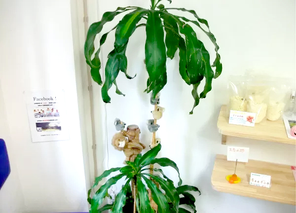 山中はりきゅう接骨院【マッサージ】(ちょっとした遊び心もあります。)