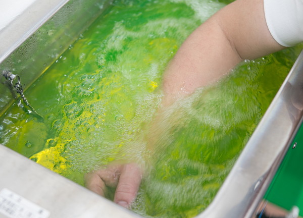 わたなべファミリーほねつぎ(腕の温浴機器は水流が気持ちよさそうです)