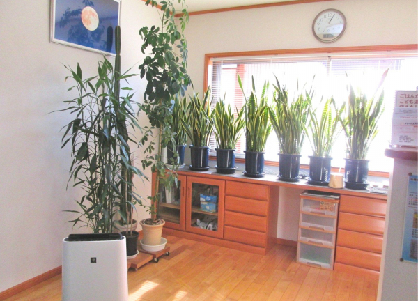 明るい空間になっています。