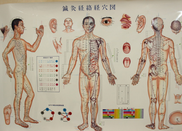 和泉鍼灸整骨院(掲載物)