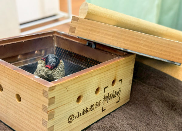 たつかわ鍼灸整骨院　鳳院(箱灸)