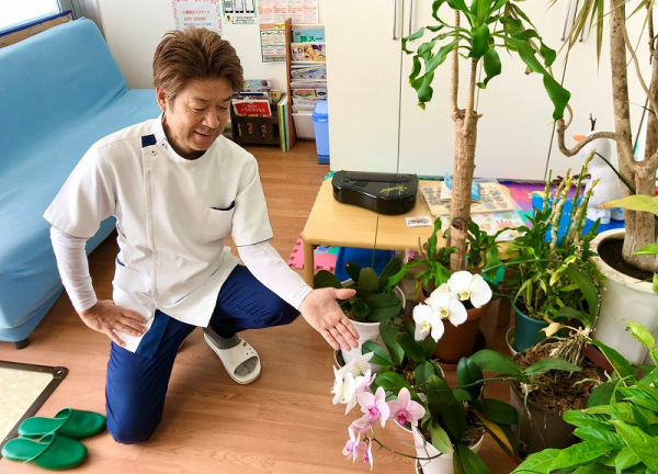 みはら整骨院　イオンザ・ビッグエクストラ大安寺店内 (多くの観葉植物を飾っています)