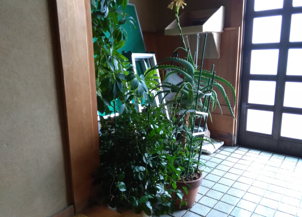 山光整体療術院(－)