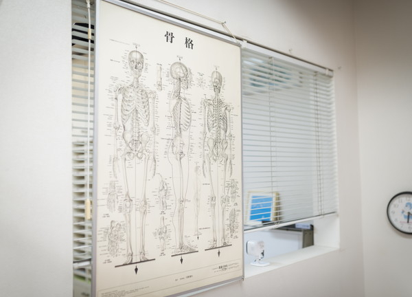 松崎接骨院(体の構造を表す掲示物です)