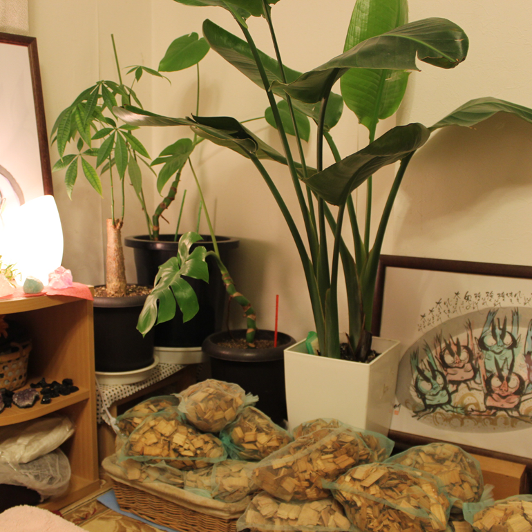 さかぐち活法整体(施設内風景)