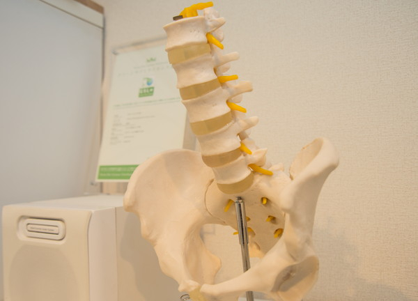 美容整体　リ・フレッシュ(説明の際には視覚教材も使います)