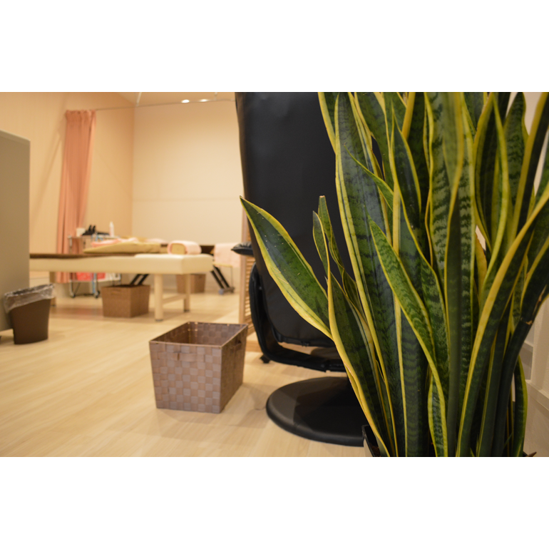 美ゅら接骨院(施設内風景)