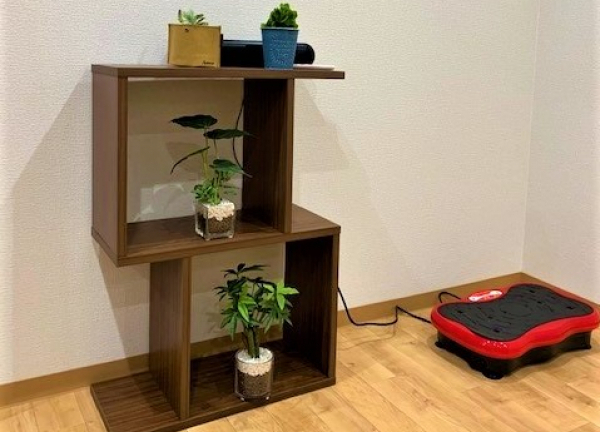 曽根FIT整骨院(植物を多く配置し、リラックスできる空間を心がけています。)