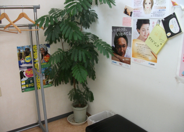 ＳＵＮ鍼灸整骨院(施設内の風景)