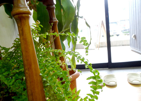 日当たりの良い明るい施設です。