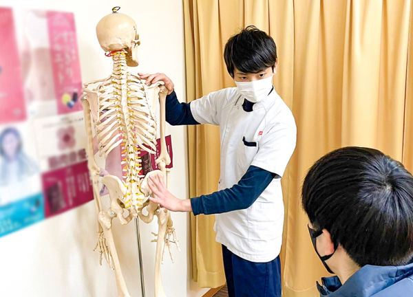 名駅すずらん鍼灸接骨院(模型を使うなど、わかりやすくご説明いたします)