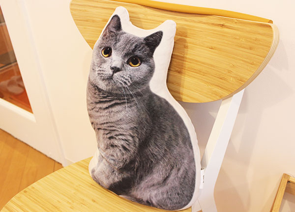 整骨院よし(待合スペースには、猫のクッションを置いています)