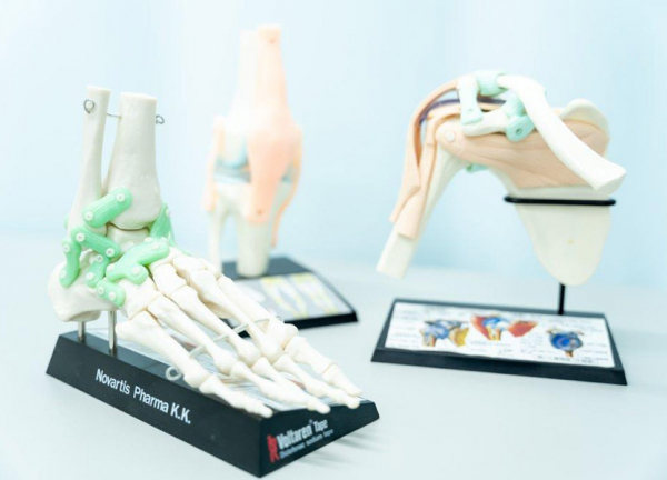 いつき整骨院(骨模型などでお身体の状態をご説明します)