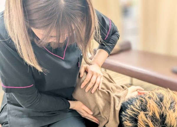 ＫＷＳ鍼灸整骨院　荻窪院(つらい肩こりの改善を目指します。)