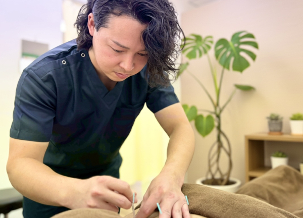 どんぐり鍼灸院・どんぐり接骨院(本来持っている力を引き出して体内の巡りを整えます。)