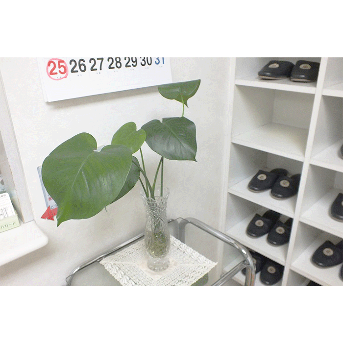 玉木鍼灸整骨院(ようこそ)