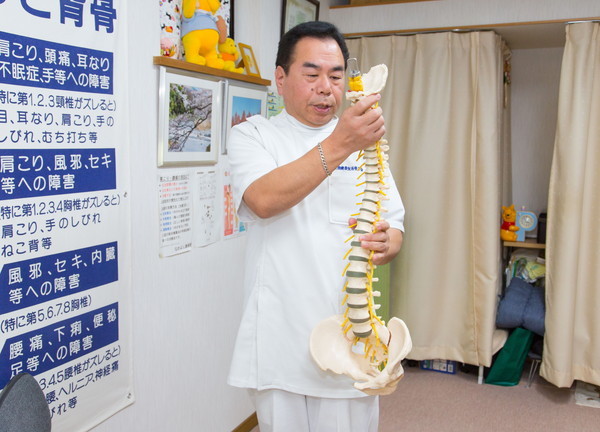 なかよし施術院(骨格模型を使った説明)
